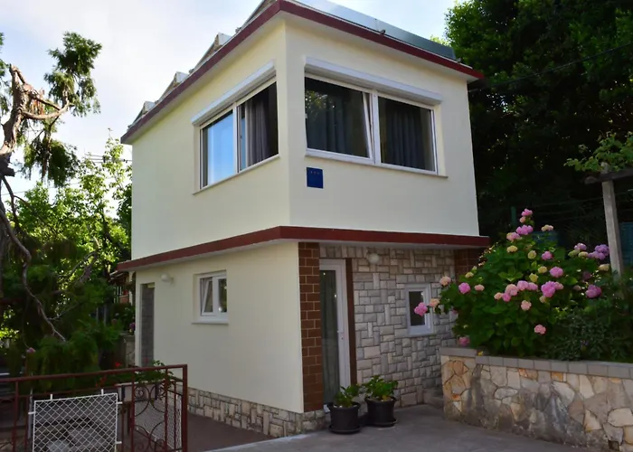 Zigulic * 오파티아