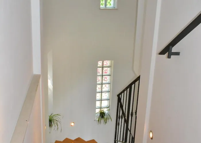 Zigulic * オパティヤ