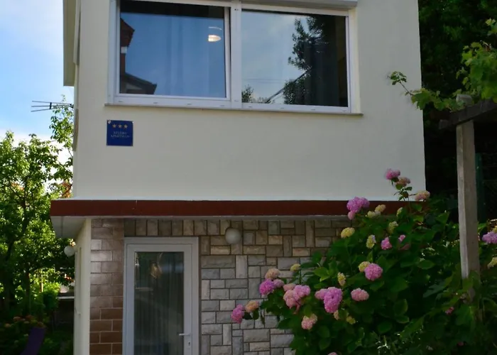 Zigulic Apartment Opatija